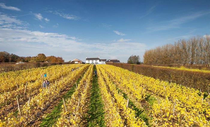 Llanerch Vineyard Hotel